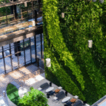 Tropical Plant Rentals
