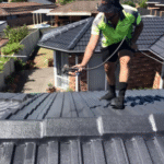 Roof Rangers